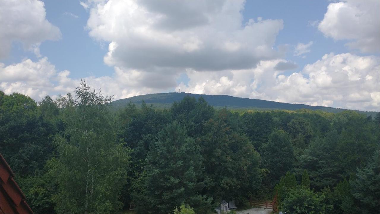 Apartament Pod Sleza - U Marzeny Apartman Sulistrowice Kültér fotó